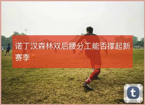 诺丁汉森林双后腰分工能否撑起新赛季