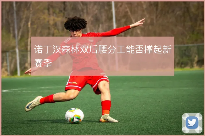 诺丁汉森林双后腰分工能否撑起新赛季