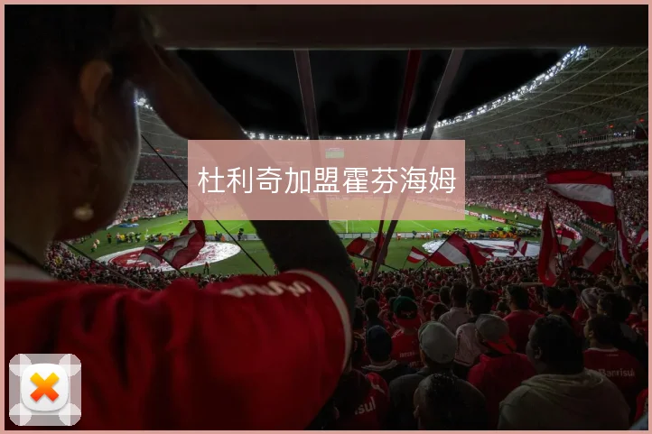 杜利奇加盟霍芬海姆