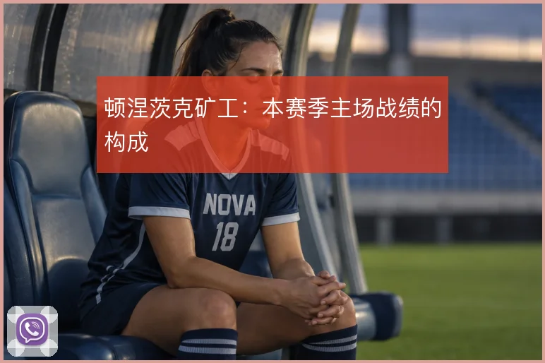 顿涅茨克矿工:本赛季主场战绩的构成